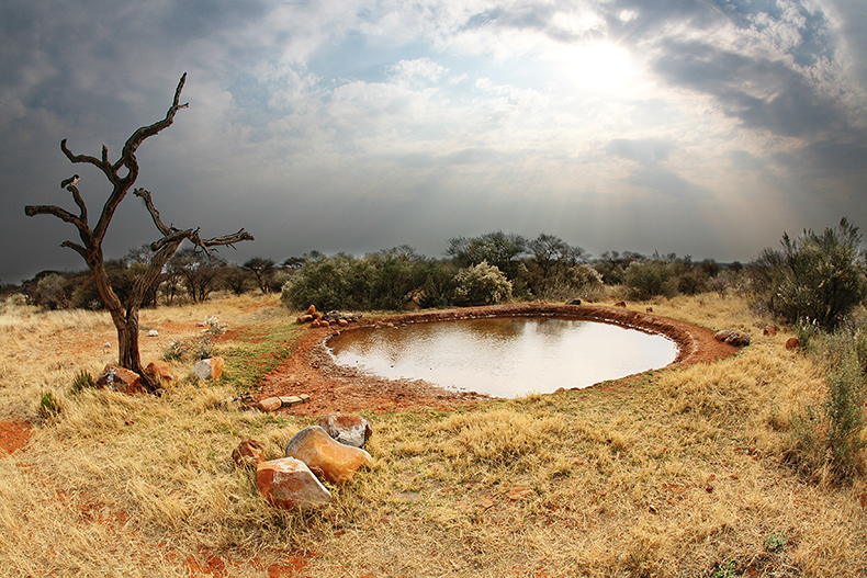 Chanbe Game Lodge